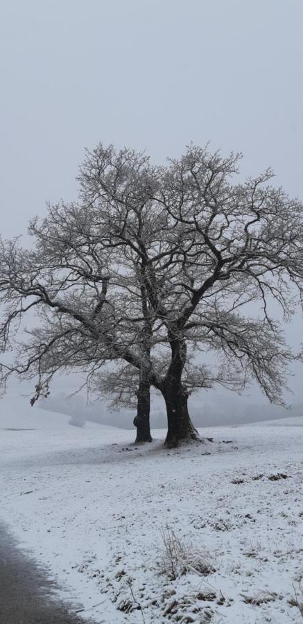 Chata Gabor Banská Bystrica Exteriér fotografie